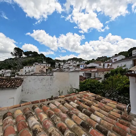 En Con Patio Andaluz, Chimenea Y Sala Multiusos